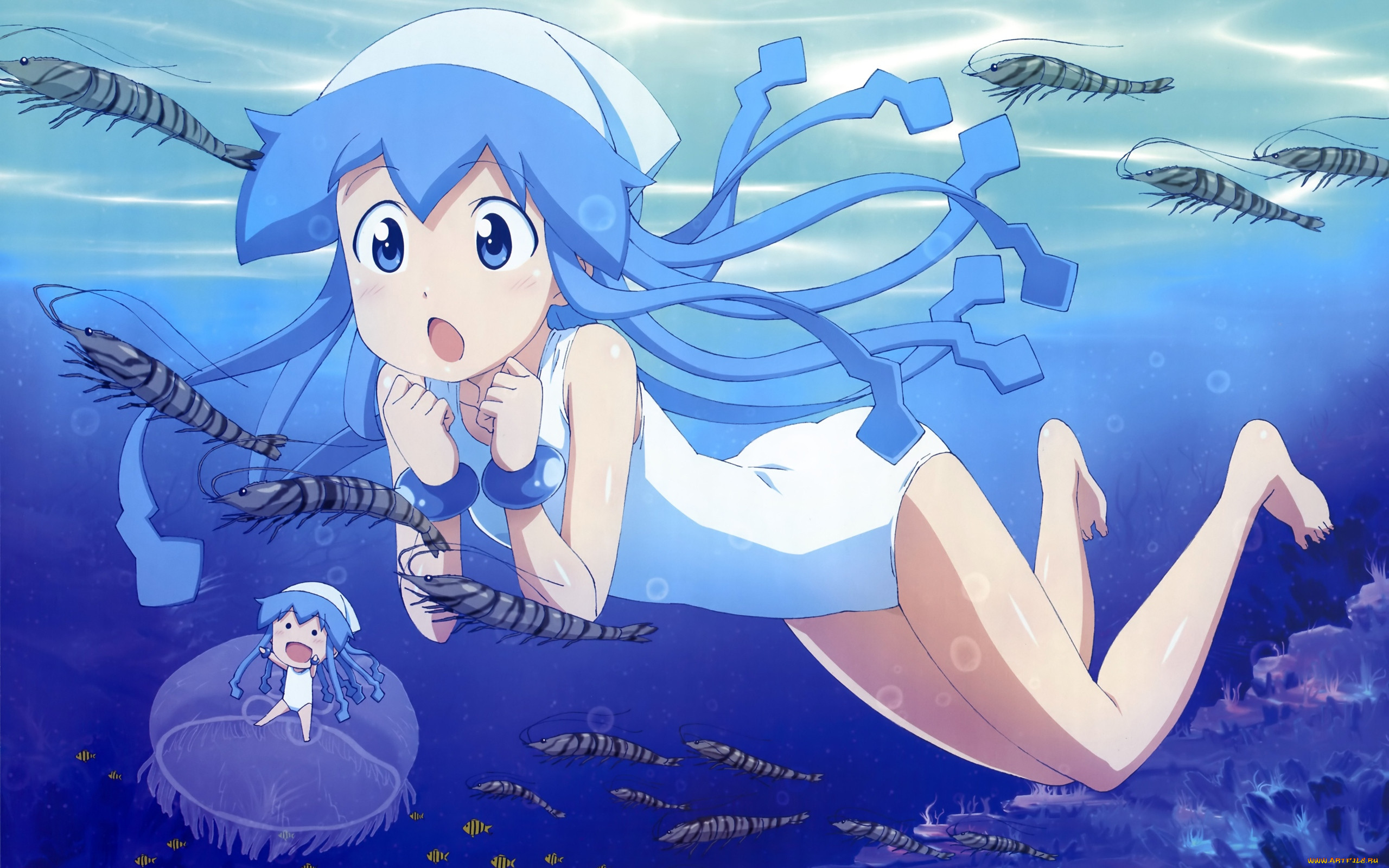 , shinryaku, ika, musume, 